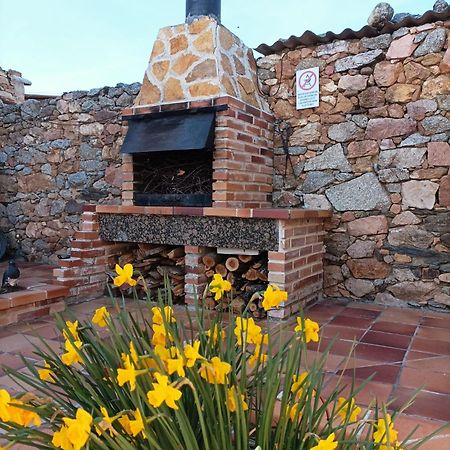 Villa La Casa Del Buho Santa Maria la Real de Nieva Exterior foto